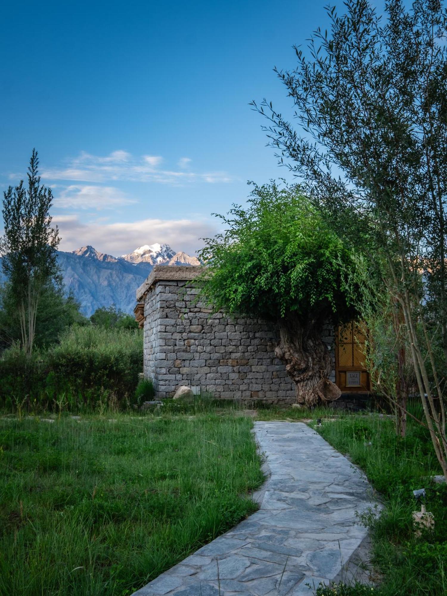 Lchang Nang Retreat-The House Of Trees-Nubra Valley Hotel Sumur Exterior photo